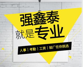 廣東東莞箱包手袋皮具行業(yè)驗(yàn)廠軟件 專人實(shí)施與售后保障的專業(yè)解決方案